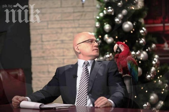 Слави лудна тотално! Спи с папагала си, вместо с Мартина
