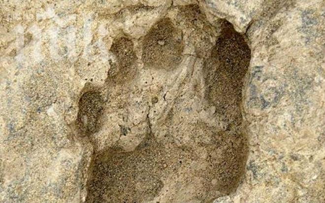 Сензация! Откриха човешки стъпки на 800 хиляди години!