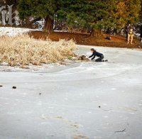 Урок по човечност! Деца спасиха бездомно куче от удавяне (снимки)