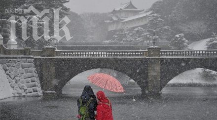 бурята япония взе пет жертви