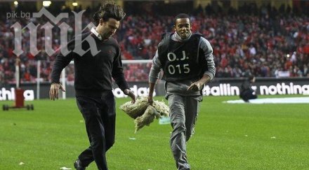 разрушителна буря връхлетя португалия