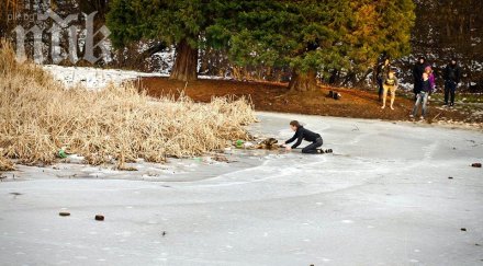 урок човечност деца спасиха бездомно куче удавяне снимки