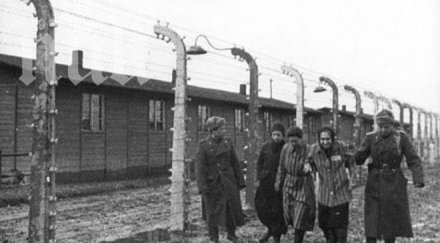 годишен комунист даден румънската прокуратура престъпления човечеството