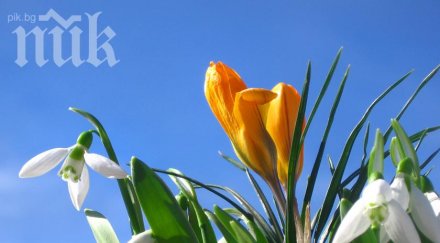 синоптици пролетта връхлита пълна сила следващите дни температурите удрят градуса