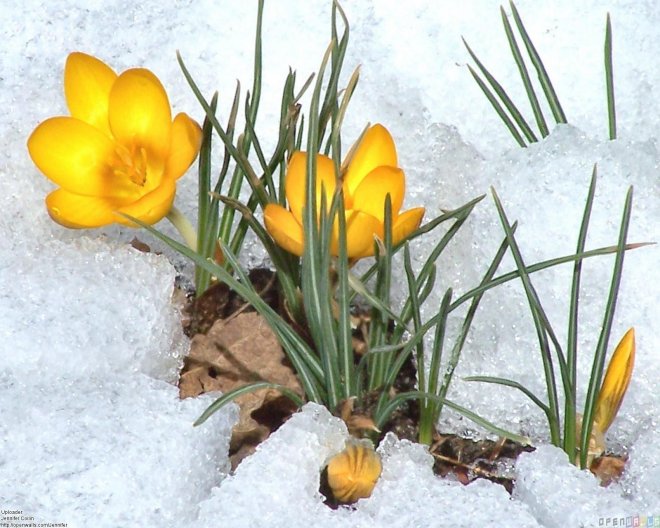 Температурите скачат, следват слънчеви дни