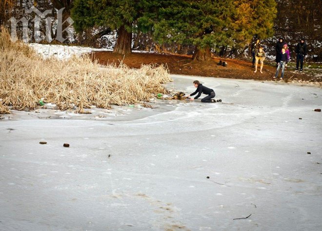 Урок по човечност! Деца спасиха бездомно куче от удавяне (снимки)