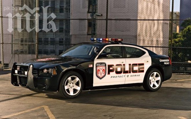 Бурени-мутанти погребаха американски град (видео)