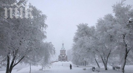 сибир кани балнеолечение