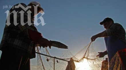 забраняват улова щука бяла риба