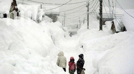 млн домакинства сащ останаха без електричество