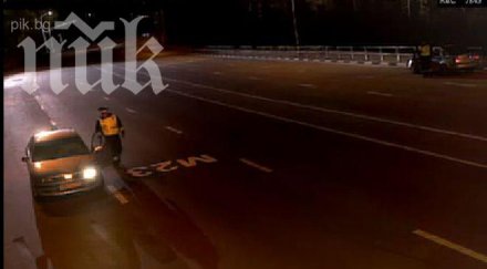 глутница вълци разкъса катаджия видео