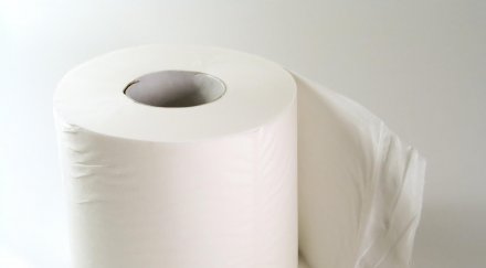 тоалетната хартия изобретена век