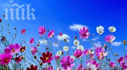 синоптици пролетта настъпва убедително февруари очаква сняг температурите градуса