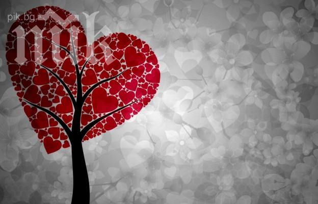 Причини да не изпадате в депресия на Свети Валентин