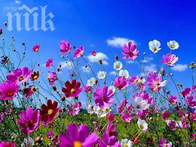 Синоптици: Пролетта настъпва убедително! След 20 февруари не се очаква сняг! Температурите - до 22 градуса!