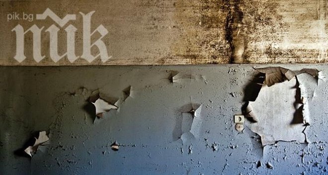 Сместа, която бързо ще ви избави от мухъла вкъщи