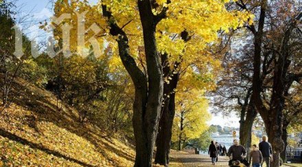 метеоролози бан чака голяма жега изключени температурни рекорди градуса