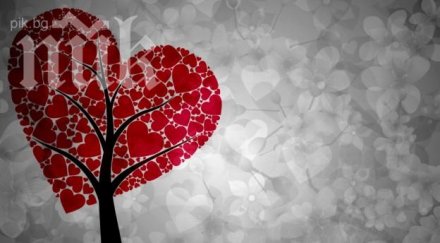 души пострадали празнувайки деня влюбените