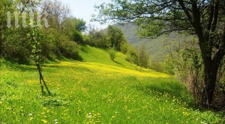 фермери хванаха гушите заради пасища