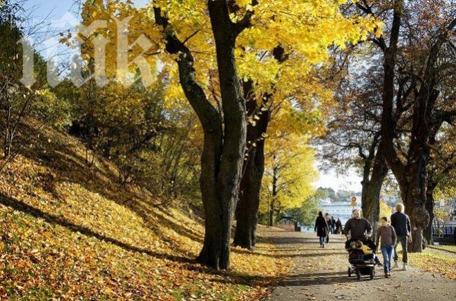 Метеоролози от БАН: Утре ни чака голяма жега! Не са изключени температурни рекорди! Ще бъде над 19 градуса!