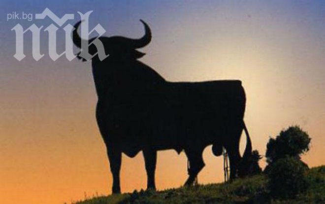 Бик потроши трима мъже