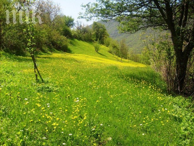 Фермери се хванаха за гушите заради пасища