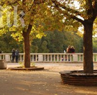 Крадци посегнаха на Морската градина във Варна! Оставиха я без ток!