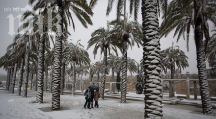 четирима души загинаха вследствие снежна буря египет