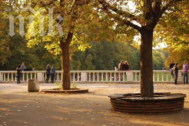 Крадци посегнаха на Морската градина във Варна! Оставиха я без ток!
