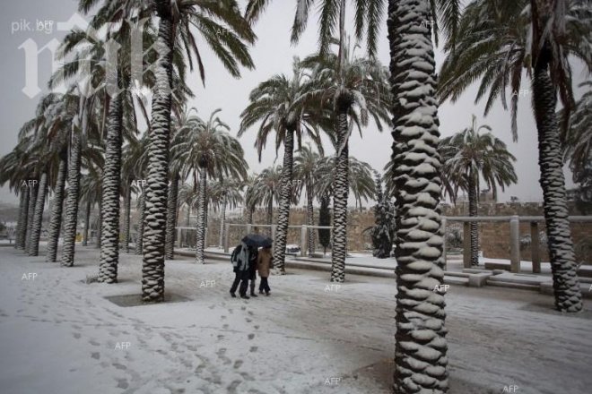 Четирима души загинаха вследствие на снежна буря в Египет