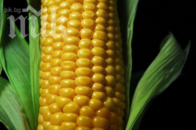 Наш олимпиец продава варена царевица, за да се издържа!