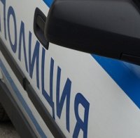 Ромско меле изплаши плевенските ченгета