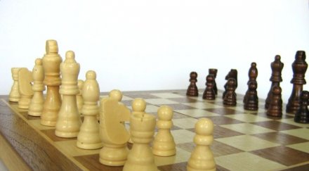 деца мерят сили шах