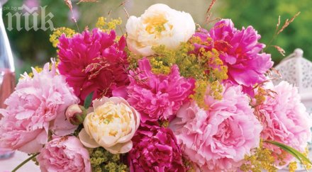 характер имате вижте един необичаен начин разгадаването