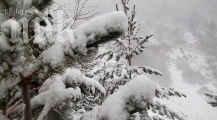 лоши условия туризъм времето мъгливо влажно