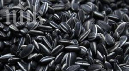 отмъкнаха тона слънчоглед склад свищов