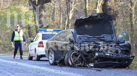 кола заби дърво вълчедръм тежко пострадаха шофьорът спътникът