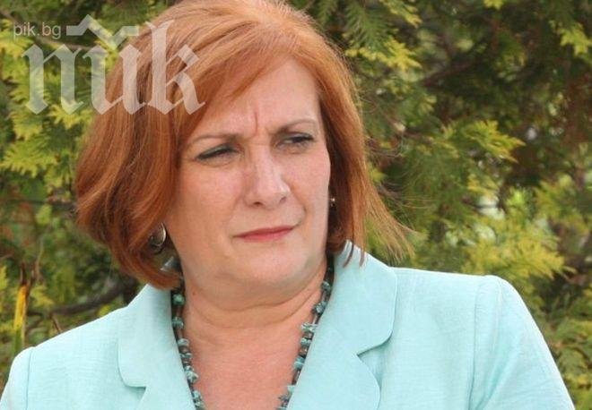 Искра Михайлова: Азербайджан да научи от България как да управлява отпадъците си!