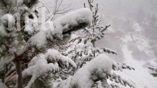 Лоши условия за туризъм, времето е мъгливо и влажно