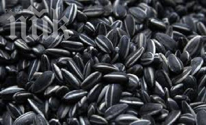 Отмъкнаха 2,5 тона слънчоглед от склад в Свищов