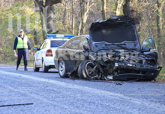 Кола се заби в дърво край Вълчедръм, тежко пострадаха шофьорът и спътникът му