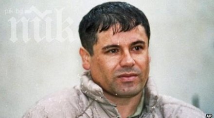 сащ поискаха мексико търсения наркобос