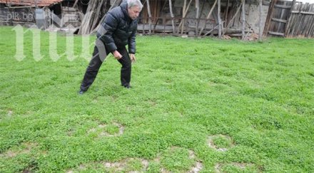 мистерия странни кръгове образуваха морава хасковско