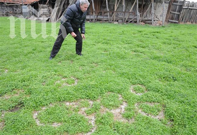 Мистерия! Странни кръгове се образуваха на морава в Хасковско