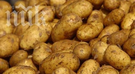 тонове картофи залежават складове мазета смолянско