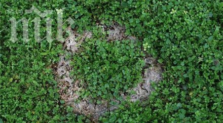 мистерия tайнствени кръгове появяват задушница родители вярват знак загиналия син