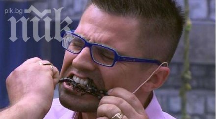 екшън къртицата крият бой опосума андрей един участниците