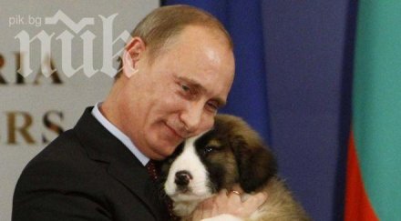 москва свали проукраински интернет страници