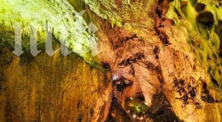 уникална находка белоградчик преобръща световната история спиращо дъха видео