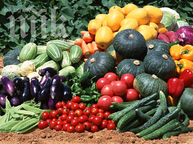 Само 20% от децата ядат зеленчуци всеки ден